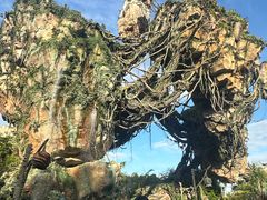 -奥兰多迪士尼动物王国乐园