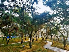 -青岛第二海水浴场