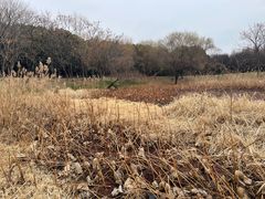 -蜀冈西峰生态公园