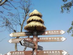 -上海长兴岛郊野公园