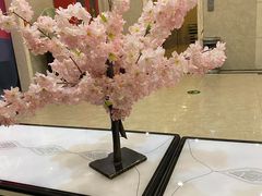 -青藤汗蒸时代会所