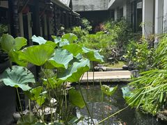 -顺德渔村·岭南一号