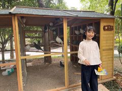 -青岛鑫江温德姆酒店