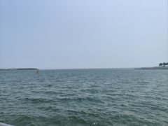 -贝林大翅鲸简餐厅(国家海洋博物馆店)