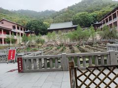 -石峰岩寺