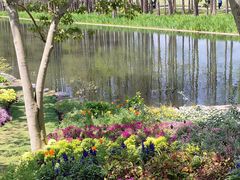 -上海共青森林公园