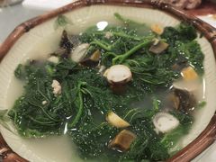 上汤桑叶-姚林轩