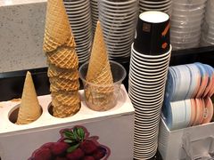 -野人先生现做冰淇淋(西安赛格店)