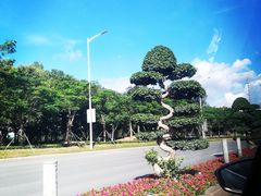 -光明小镇欢乐田园