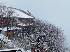 -香山公园