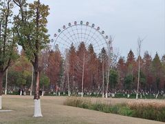 -洋湖国家湿地公园