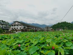 -紫鹊界梯田景区