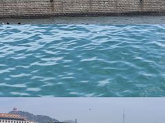 -郑庄脂渣海鲜楼(九水路店)