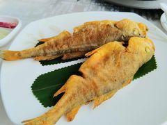 -上海新锦江大酒店