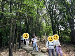 -火炉山森林公园