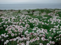 景点-青海湖国家重点风景名胜区