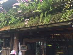 -自然餐厅(Phuket)