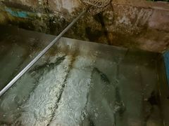 -姥家大锅台水库渔家