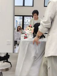 -蚂蚁造型俱乐部
