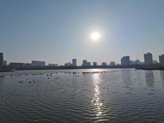 -莲花池公园