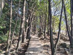 -火炉山森林公园