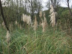 -西湖风景区-江洋畈生态公园