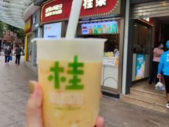 轻椰杨枝甘露-桂桂茶(金谊广场店)
