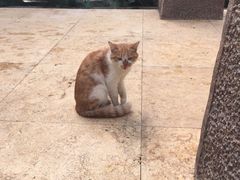 -龙达温泉生态城