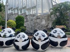-石排湾郊野公园