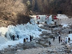 -陕西省红河谷森林公园