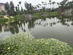 -枫香湖儿童公园