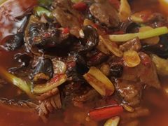 -院8里·小聚园老川菜(九眼桥店)