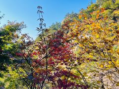 -崂山九水游览区