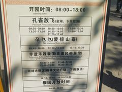 -西双版纳原始森林公园