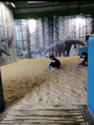 -恐龙探索乐园(磁器口店)