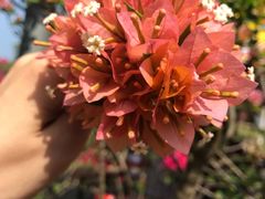 -白沙门生态公园