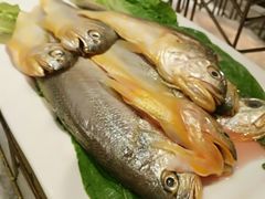 -盛宴标帜西餐厅龙虾.鲍鱼•牛排(重庆喜来登大酒店)
