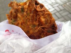 -半月镰胡姐脆皮萝卜饺子
