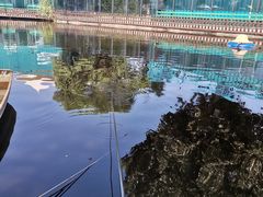 -酷鱼垂钓CLUB(朝阳区博大路店 )