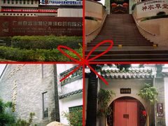 -广州神农草堂中医药博物馆