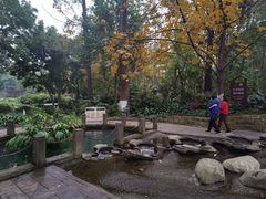 -成都市活水公园