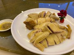 白切鸡-东豪园林海鲜酒家(南港路辅路店)