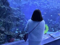 -海合安成都极地海洋公园