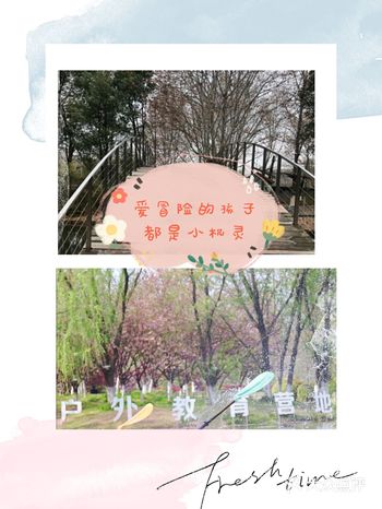 爱冒险的孩子都是小机灵