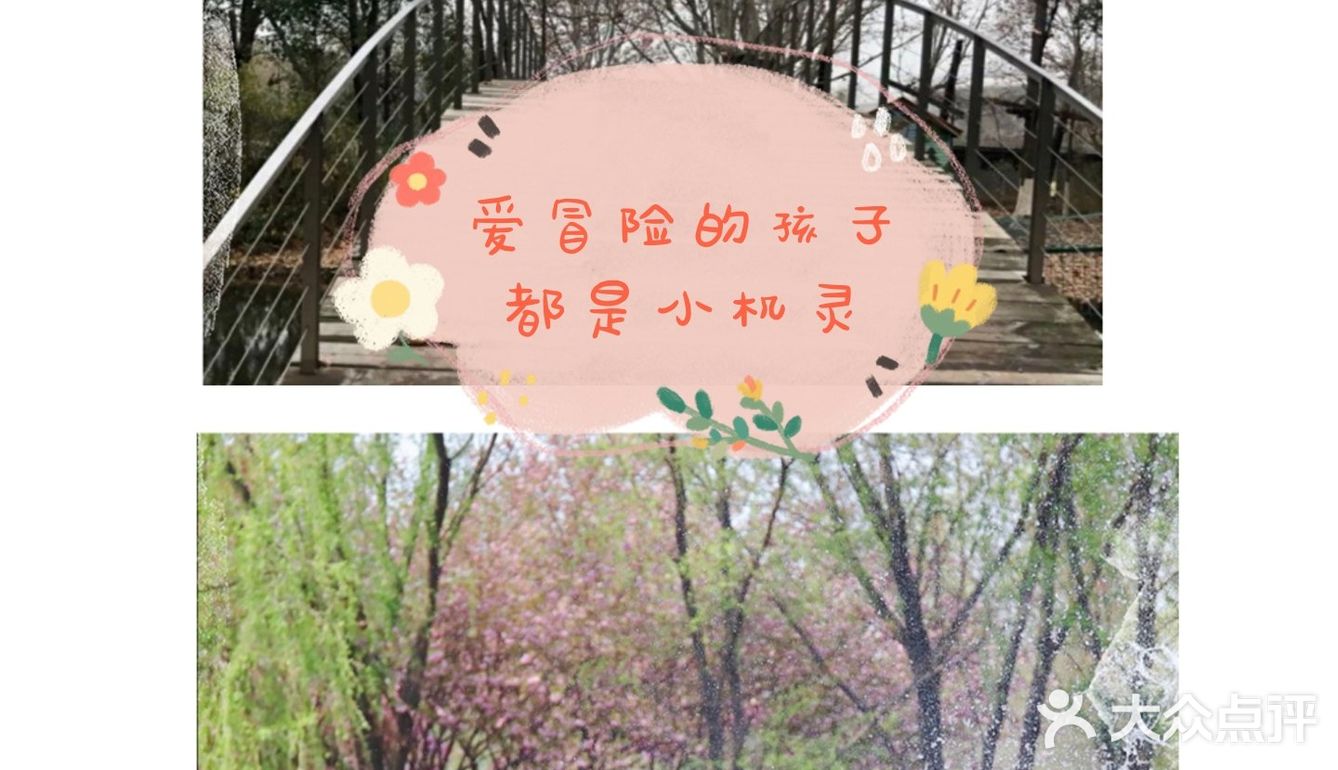 爱冒险的孩子都是小机灵
