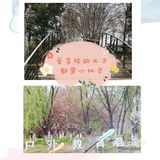 爱冒险的孩子都是小机灵