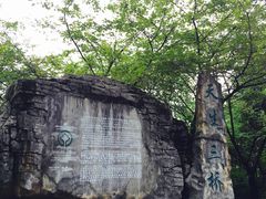 -武隆天坑地缝国家地质公园