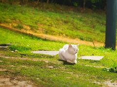 -滨江生态公园