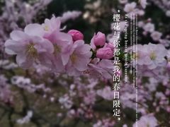 -天坛公园