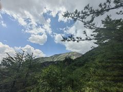 -朱雀国家森林公园